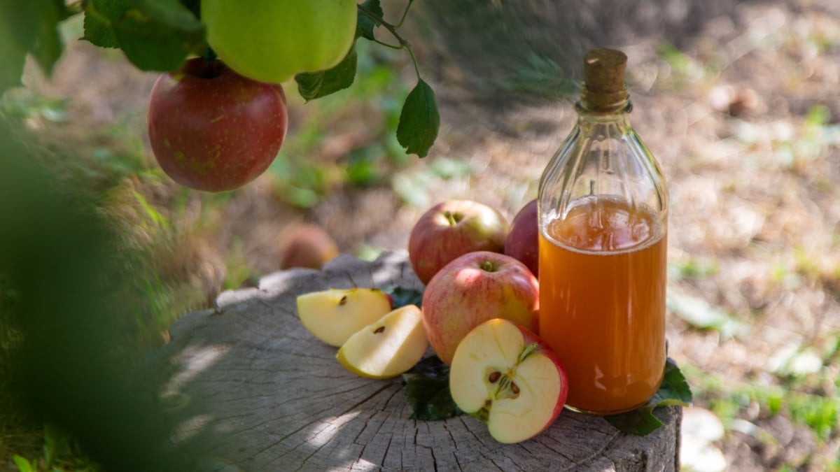 Uncooked Cider Is Merely As Unsafe As Uncooked Milk